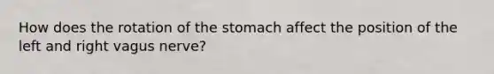 How does the rotation of the stomach affect the position of the left and right vagus nerve?