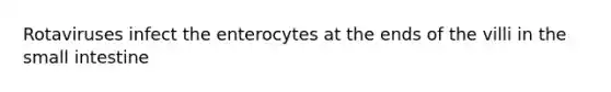 Rotaviruses infect the enterocytes at the ends of the villi in <a href='https://www.questionai.com/knowledge/kt623fh5xn-the-small-intestine' class='anchor-knowledge'>the small intestine</a>