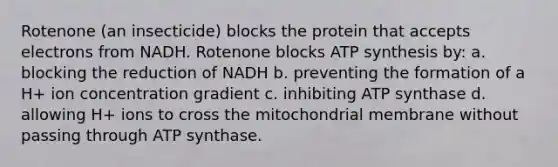 Rotenone (an insecticide) blocks the protein that accepts electrons from NADH. Rotenone blocks ATP synthesis by: a. blocking the reduction of NADH b. preventing the formation of a H+ ion concentration gradient c. inhibiting ATP synthase d. allowing H+ ions to cross the mitochondrial membrane without passing through ATP synthase.