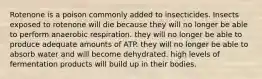 Rotenone is a poison commonly added to insecticides. Insects exposed to rotenone will die because they will no longer be able to perform anaerobic respiration. they will no longer be able to produce adequate amounts of ATP. they will no longer be able to absorb water and will become dehydrated. high levels of fermentation products will build up in their bodies.