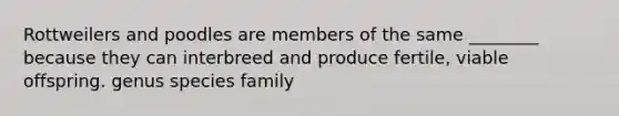 Rottweilers and poodles are members of the same ________ because they can interbreed and produce fertile, viable offspring. genus species family
