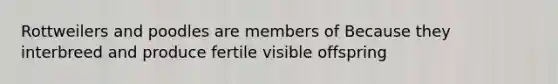 Rottweilers and poodles are members of Because they interbreed and produce fertile visible offspring
