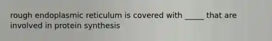 rough endoplasmic reticulum is covered with _____ that are involved in protein synthesis