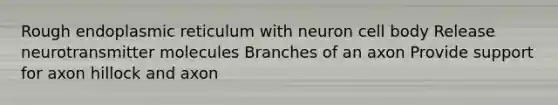 Rough endoplasmic reticulum with neuron cell body Release neurotransmitter molecules Branches of an axon Provide support for axon hillock and axon