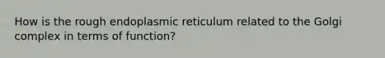 How is the rough endoplasmic reticulum related to the Golgi complex in terms of function?