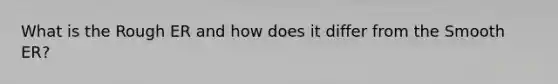 What is the Rough ER and how does it differ from the Smooth ER?