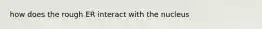 how does the rough ER interact with the nucleus