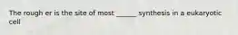 The rough er is the site of most ______ synthesis in a eukaryotic cell
