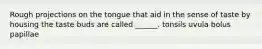 Rough projections on the tongue that aid in the sense of taste by housing the taste buds are called ______. tonsils uvula bolus papillae