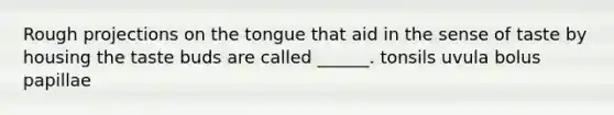 Rough projections on the tongue that aid in the sense of taste by housing the taste buds are called ______. tonsils uvula bolus papillae