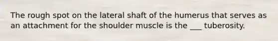 The rough spot on the lateral shaft of the humerus that serves as an attachment for the shoulder muscle is the ___ tuberosity.