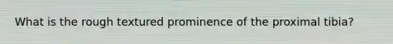 What is the rough textured prominence of the proximal tibia?