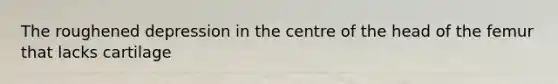 The roughened depression in the centre of the head of the femur that lacks cartilage