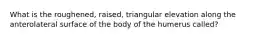 What is the roughened, raised, triangular elevation along the anterolateral surface of the body of the humerus called?