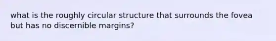 what is the roughly circular structure that surrounds the fovea but has no discernible margins?