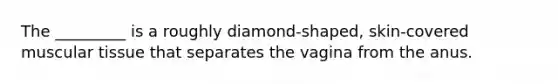 The _________ is a roughly diamond-shaped, skin-covered muscular tissue that separates the vagina from the anus.