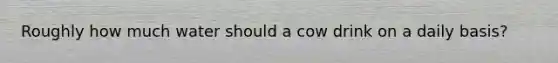 Roughly how much water should a cow drink on a daily basis?