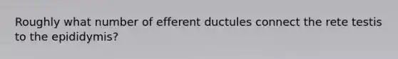 Roughly what number of efferent ductules connect the rete testis to the epididymis?