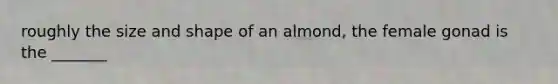 roughly the size and shape of an almond, the female gonad is the _______