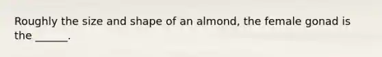 Roughly the size and shape of an almond, the female gonad is the ______.