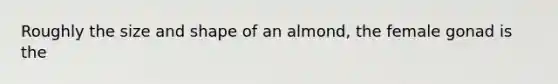 Roughly the size and shape of an almond, the female gonad is the