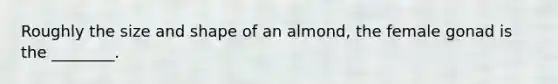 Roughly the size and shape of an almond, the female gonad is the ________.