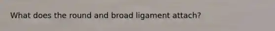 What does the round and broad ligament attach?