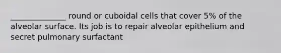 ______________ round or cuboidal cells that cover 5% of the alveolar surface. Its job is to repair alveolar epithelium and secret pulmonary surfactant