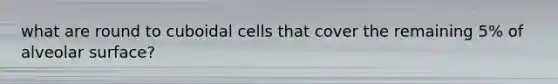 what are round to cuboidal cells that cover the remaining 5% of alveolar surface?