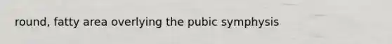 round, fatty area overlying the pubic symphysis