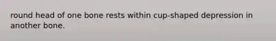 round head of one bone rests within cup-shaped depression in another bone.