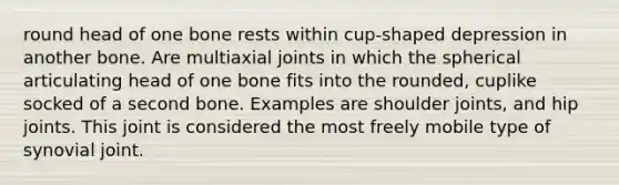 round head of one bone rests within cup-shaped depression in another bone. Are multiaxial joints in which the spherical articulating head of one bone fits into the rounded, cuplike socked of a second bone. Examples are shoulder joints, and hip joints. This joint is considered the most freely mobile type of synovial joint.