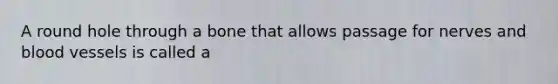 A round hole through a bone that allows passage for nerves and blood vessels is called a