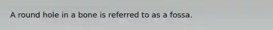 A round hole in a bone is referred to as a fossa.