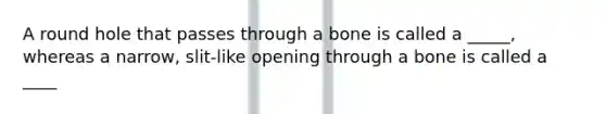 A round hole that passes through a bone is called a _____, whereas a narrow, slit-like opening through a bone is called a ____