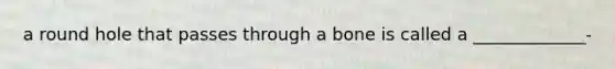 a round hole that passes through a bone is called a _____________-