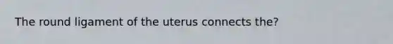 The round ligament of the uterus connects the?