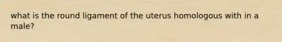 what is the round ligament of the uterus homologous with in a male?