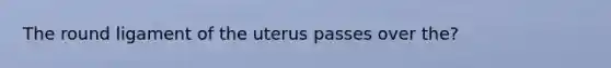 The round ligament of the uterus passes over the?