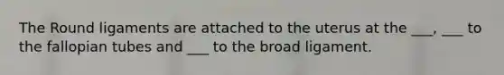 The Round ligaments are attached to the uterus at the ___, ___ to the fallopian tubes and ___ to the broad ligament.