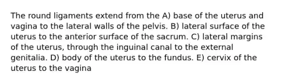 The round ligaments extend from the A) base of the uterus and vagina to the lateral walls of the pelvis. B) lateral surface of the uterus to the anterior surface of the sacrum. C) lateral margins of the uterus, through the inguinal canal to the external genitalia. D) body of the uterus to the fundus. E) cervix of the uterus to the vagina