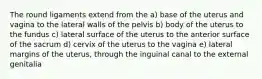 The round ligaments extend from the a) base of the uterus and vagina to the lateral walls of the pelvis b) body of the uterus to the fundus c) lateral surface of the uterus to the anterior surface of the sacrum d) cervix of the uterus to the vagina e) lateral margins of the uterus, through the inguinal canal to the external genitalia