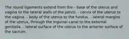 The round ligaments extend from the - base of the uterus and vagina to the lateral walls of the pelvis. - cervix of the uterus to the vagina. - body of the uterus to the fundus. - lateral margins of the uterus, through the inguinal canal to the external genitalia. - lateral surface of the uterus to the anterior surface of the sacrum.