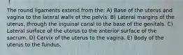 The round ligaments extend from the: A) Base of the uterus and vagina to the lateral walls of the pelvis. B) Lateral margins of the uterus, through the inguinal canal to the base of the genitals. C) Lateral surface of the uterus to the anterior surface of the sacrum. D) Cervix of the uterus to the vagina. E) Body of the uterus to the fundus.