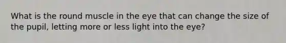 What is the round muscle in the eye that can change the size of the pupil, letting more or less light into the eye?