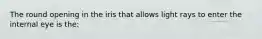 The round opening in the iris that allows light rays to enter the internal eye is​ the: