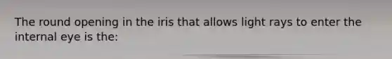 The round opening in the iris that allows light rays to enter the internal eye is the: