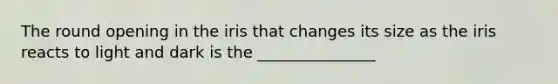 The round opening in the iris that changes its size as the iris reacts to light and dark is the _______________