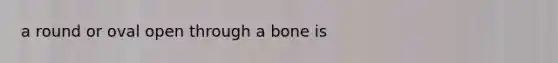 a round or oval open through a bone is