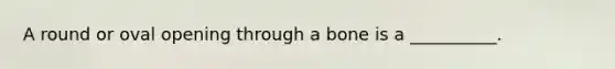 A round or oval opening through a bone is a __________.